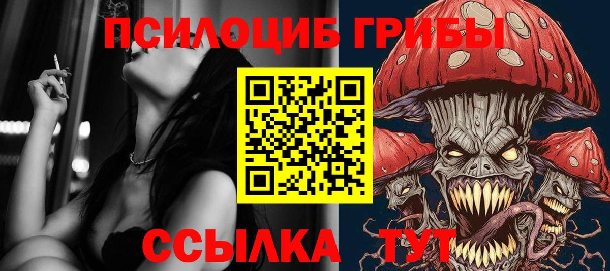 Галлюциногенные грибы MAGIC MUSHROOMS Балашиха