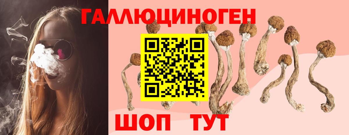 как найти закладки  Вход с VPN  Псилоцибиновые грибы Magic Shrooms  Балашиха  Галлюциногенные грибы Psilocybine cubensis 